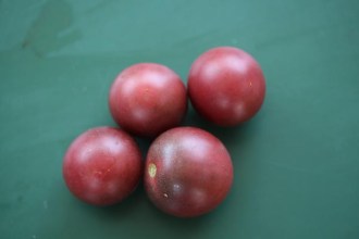 Solanum lycopersicum (Tomate, 'Black Cherry')
